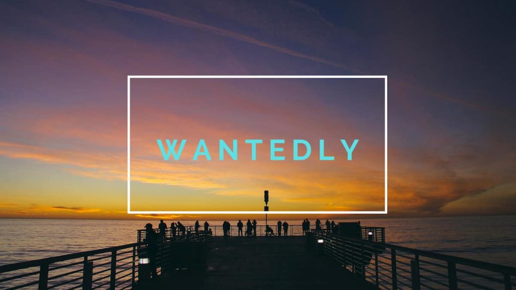 wantedly
